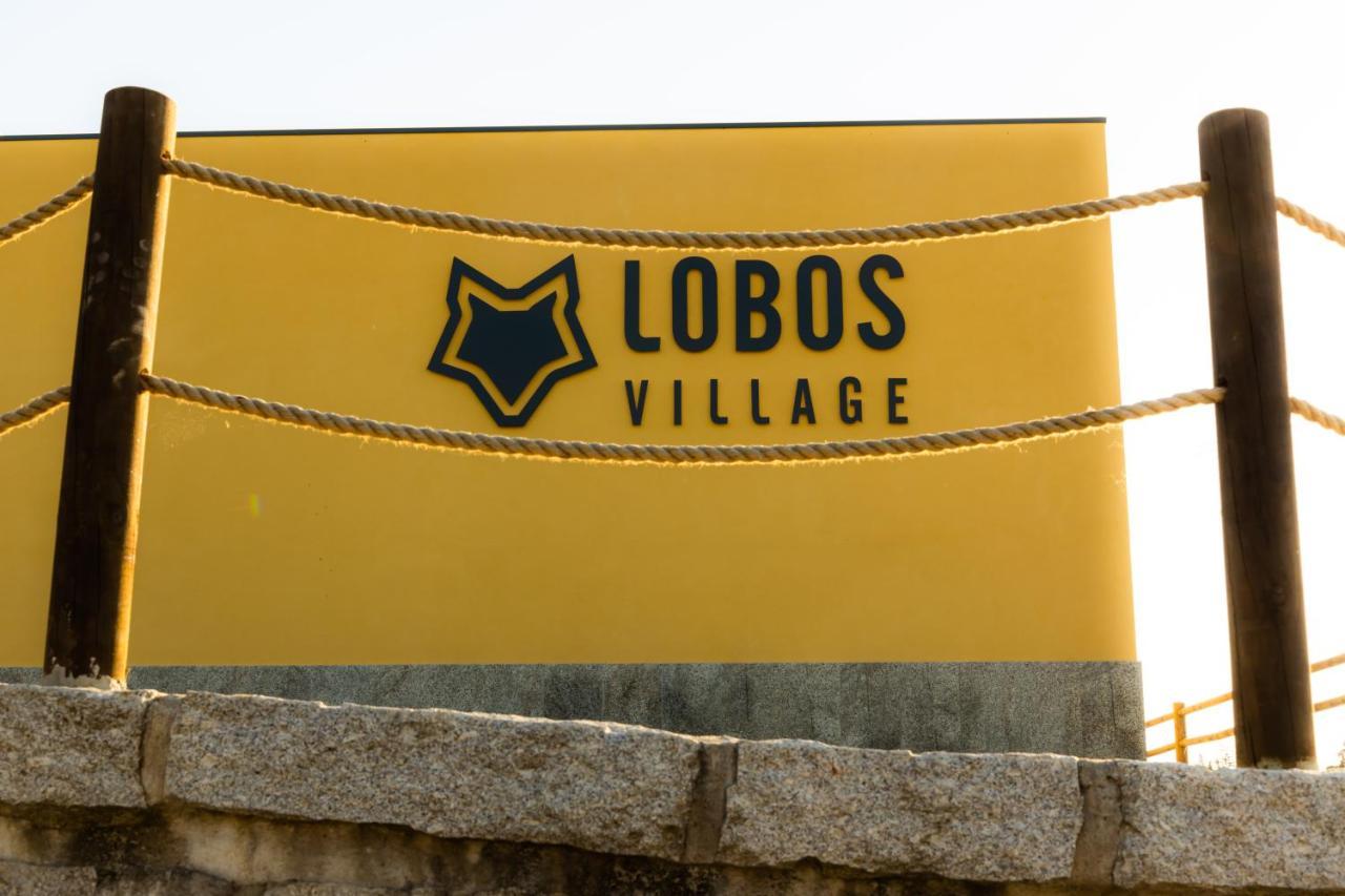 Lobos Village - Alojamento Seia Exteriör bild